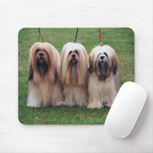 Tapis de souris d'apso de Lhasa (Avec souris)