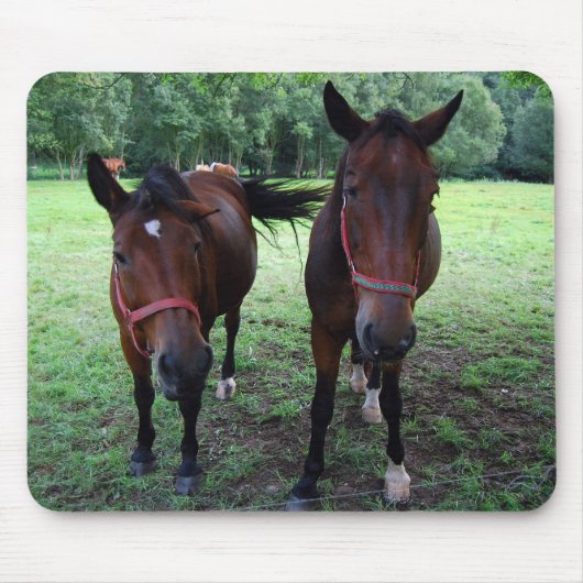Tapis De Souris Dark brown Horses on pasture (Devant)