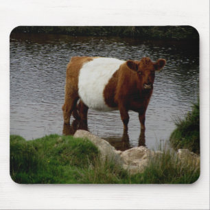 Tapis De Souris Dartmoor a ceinturé la vache à Galloway se tenan