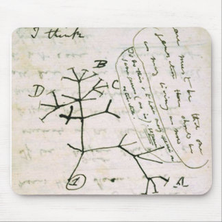 Tapis De Souris Darwin