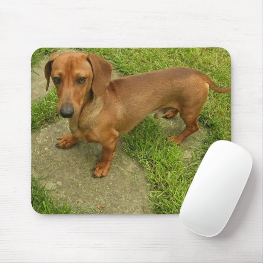 Tapis De Souris Daschund Mousepad (Avec souris)