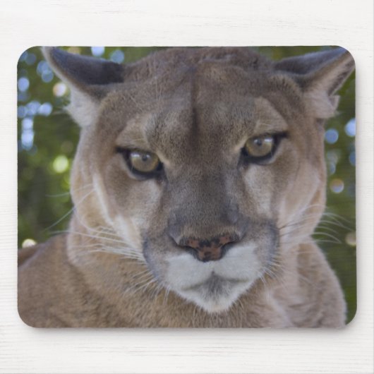 Tapis de souris d'attaque de puma (Devant)