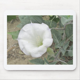 Tapis De Souris Datura