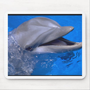 Tapis De Souris Dauphin