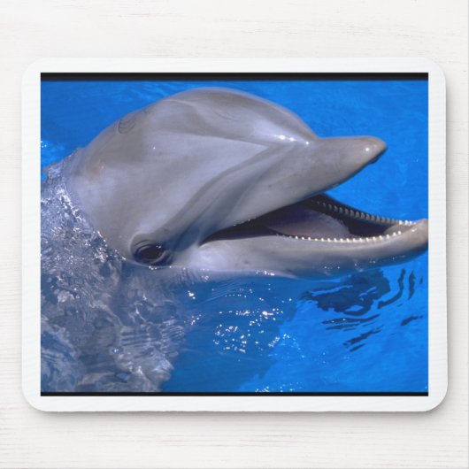 Tapis De Souris Dauphin (Devant)