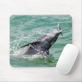 Tapis De Souris Dauphin avec le déjeuner (Avec souris)