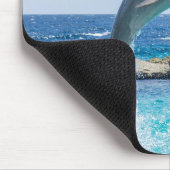 Tapis De Souris Dauphin de Bottlenose (Coin)