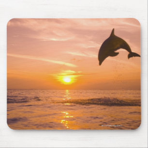 Tapis De Souris Dauphin de Bottlenose sautant 2