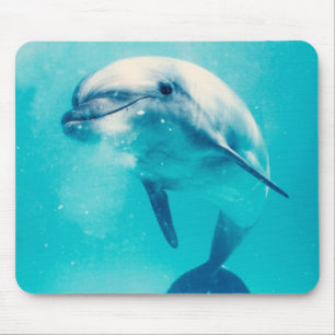 Tapis De Souris Dauphin de Bottlenosed sous-marin
