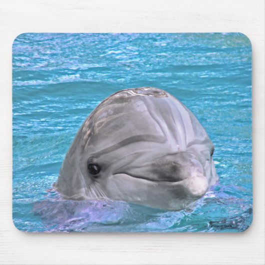 Tapis De Souris Dauphin de sourire (Devant)
