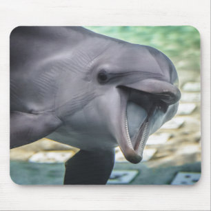 Tapis De Souris Dauphin des images   de Getty