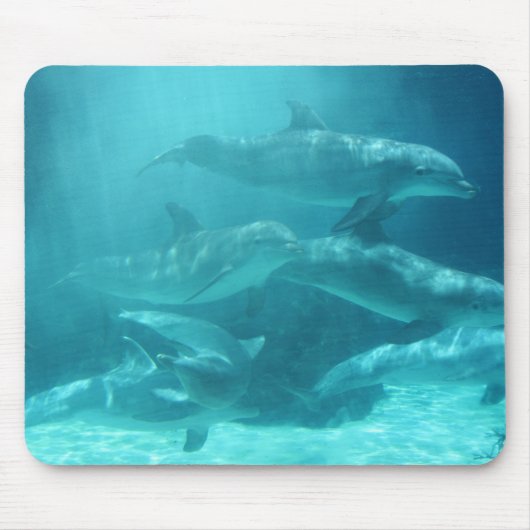 Tapis De Souris Dauphins (Devant)