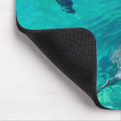 Tapis De Souris Dauphins (Coin)