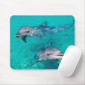 Tapis De Souris Dauphins (Avec souris)