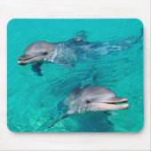 Tapis De Souris Dauphins (Devant)