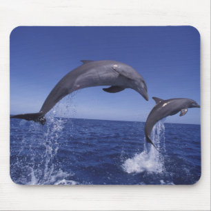 Tapis De Souris dauphins à gros nez des Caraïbes