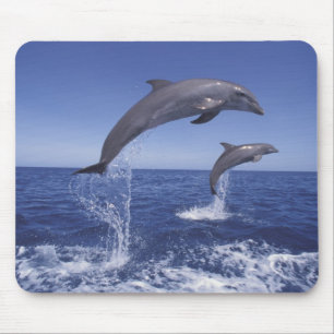 Tapis De Souris dauphins à gros nez des Caraïbes