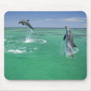 Tapis De Souris Dauphins à gros nez Tursiops truncatus