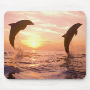 Tapis De Souris Dauphins à gros nez Tursiops truncatus