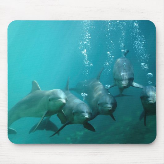 Tapis De Souris Dauphins sous-marins (Devant)