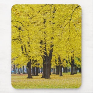 Tapis de souris d'automne