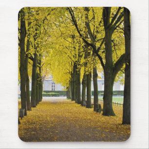 Tapis de souris d'automne
