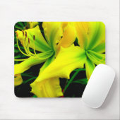 Tapis de souris : Daylily (Avec souris)