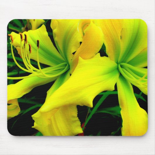 Tapis de souris : Daylily (Devant)