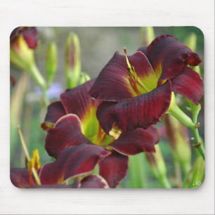 Tapis De Souris Daylily 'Bordeaux vintage