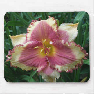 Tapis De Souris Daylily observé par rose Mousepad