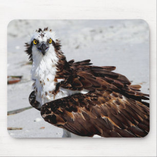 Tapis de souris de balbuzard