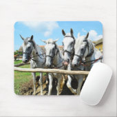 Tapis De Souris De beaux chevaux (Avec souris)