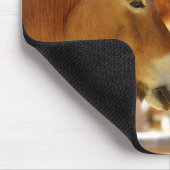 Tapis De Souris De beaux chevaux (Coin)