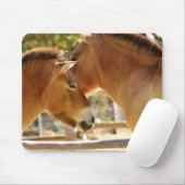 Tapis De Souris De beaux chevaux (Avec souris)