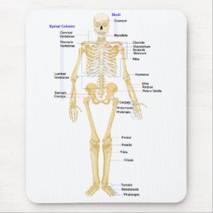 Tapis de souris de biologie