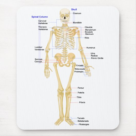 Tapis de souris de biologie (Devant)