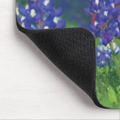 Tapis de souris de bluebonnet de Texas (Coin)