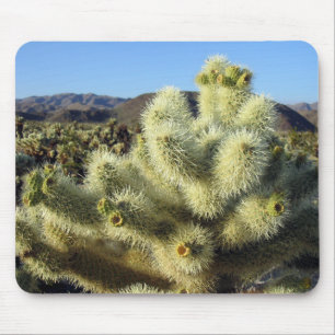 Tapis de souris de cactus de désert de sud-ouest