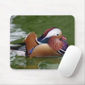 Tapis de souris de canard de mandarine (Avec souris)