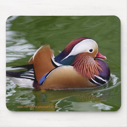 Tapis de souris de canard de mandarine (Devant)