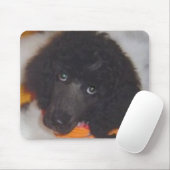 Tapis de souris de caniche standard (Avec souris)