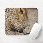 Tapis de souris de Capybara (Avec souris)