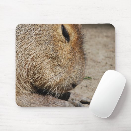Tapis de souris de Capybara (Avec souris)