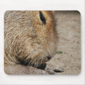 Tapis de souris de Capybara (Devant)