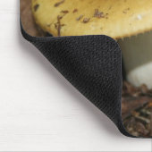 Tapis de souris de champignon (Coin)