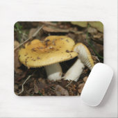 Tapis de souris de champignon (Avec souris)