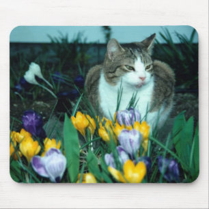 Tapis de souris de chat