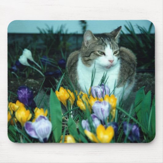 Tapis de souris de chat (Devant)
