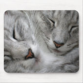 Tapis de souris de chat de forêt (Devant)