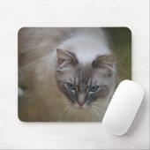 Tapis de souris de chat de Ragdoll (Avec souris)